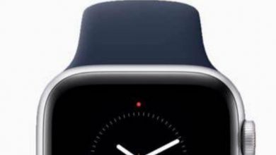What is the Red Dot On My Apple Watch